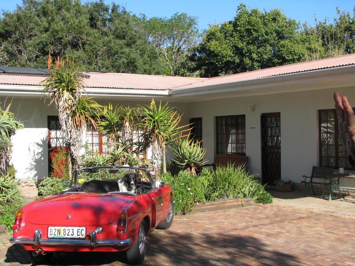 Kaiser's B&B Grahamstown Exterior foto
